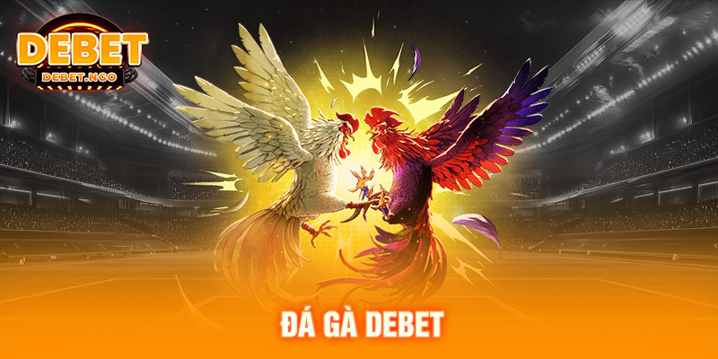 Trang chủ 7 Đá gà DEBET