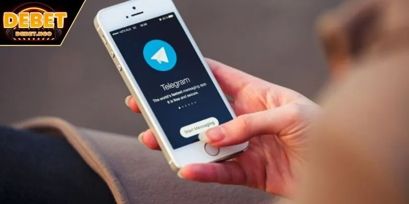 Liên hệ Debet 4 Trao đổi qua Telegram